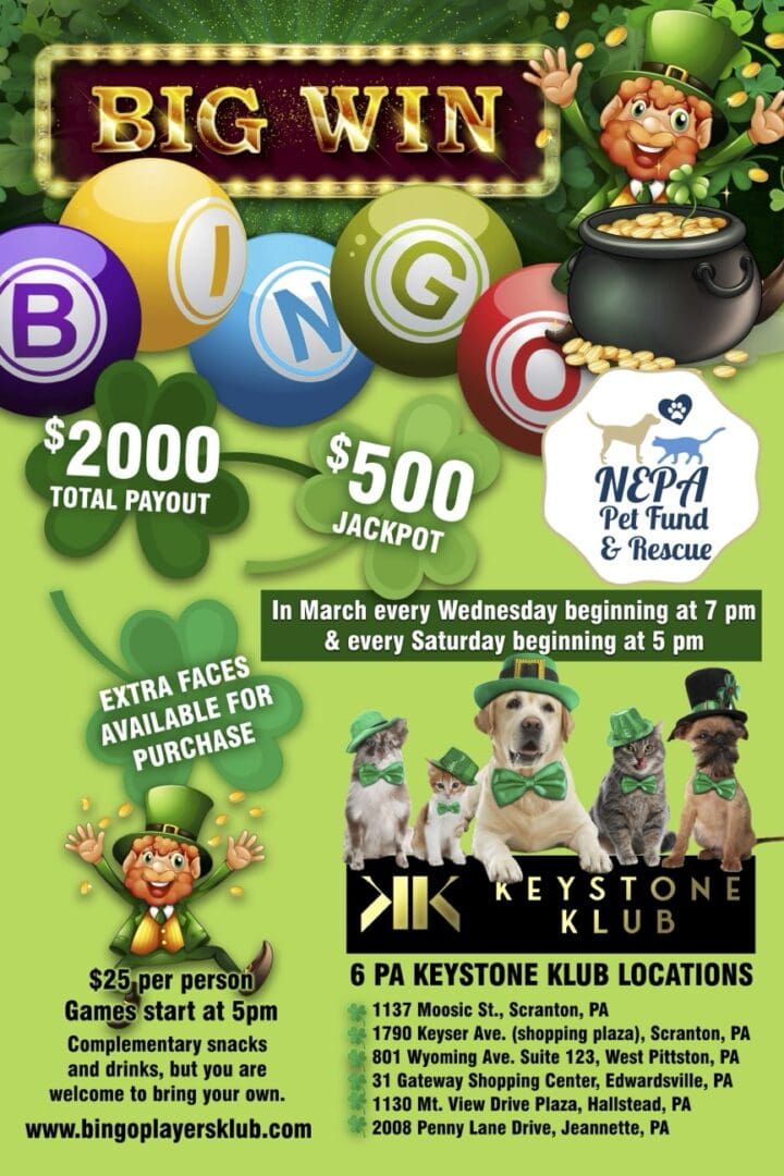 NEPA Pet Fund_St Patricks Day Bingo jpeg